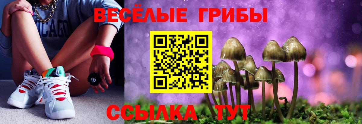 Ноябрьск  Псилоцибиновые грибы Psilocybine cubensis  Вход с VPN 