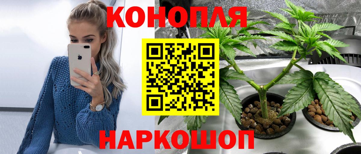 Бошки марихуана конопля Ноябрьск
